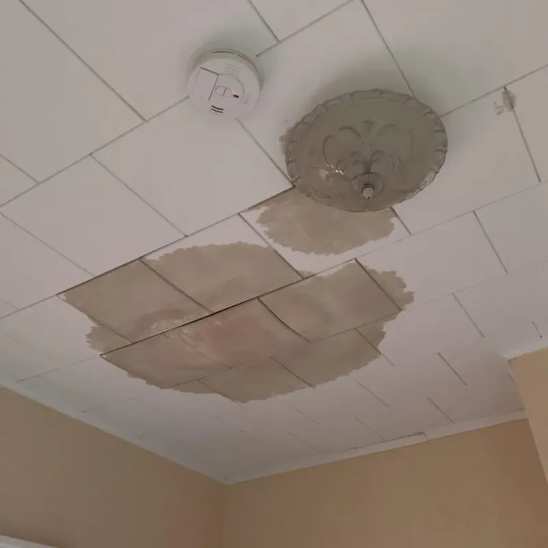 Ceiling Water Damage Repair in Sharkey County, MS