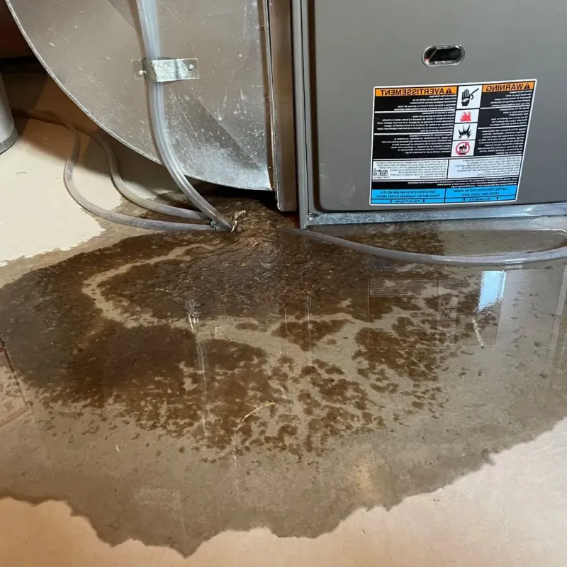 Pipe Burst and Leak Restoration in Sharkey County, MS