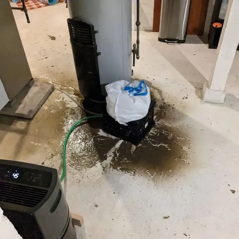 Sewage Backup Cleanup Service in Sharkey County, MS